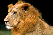 BD19579_.GIF (15094 Byte)